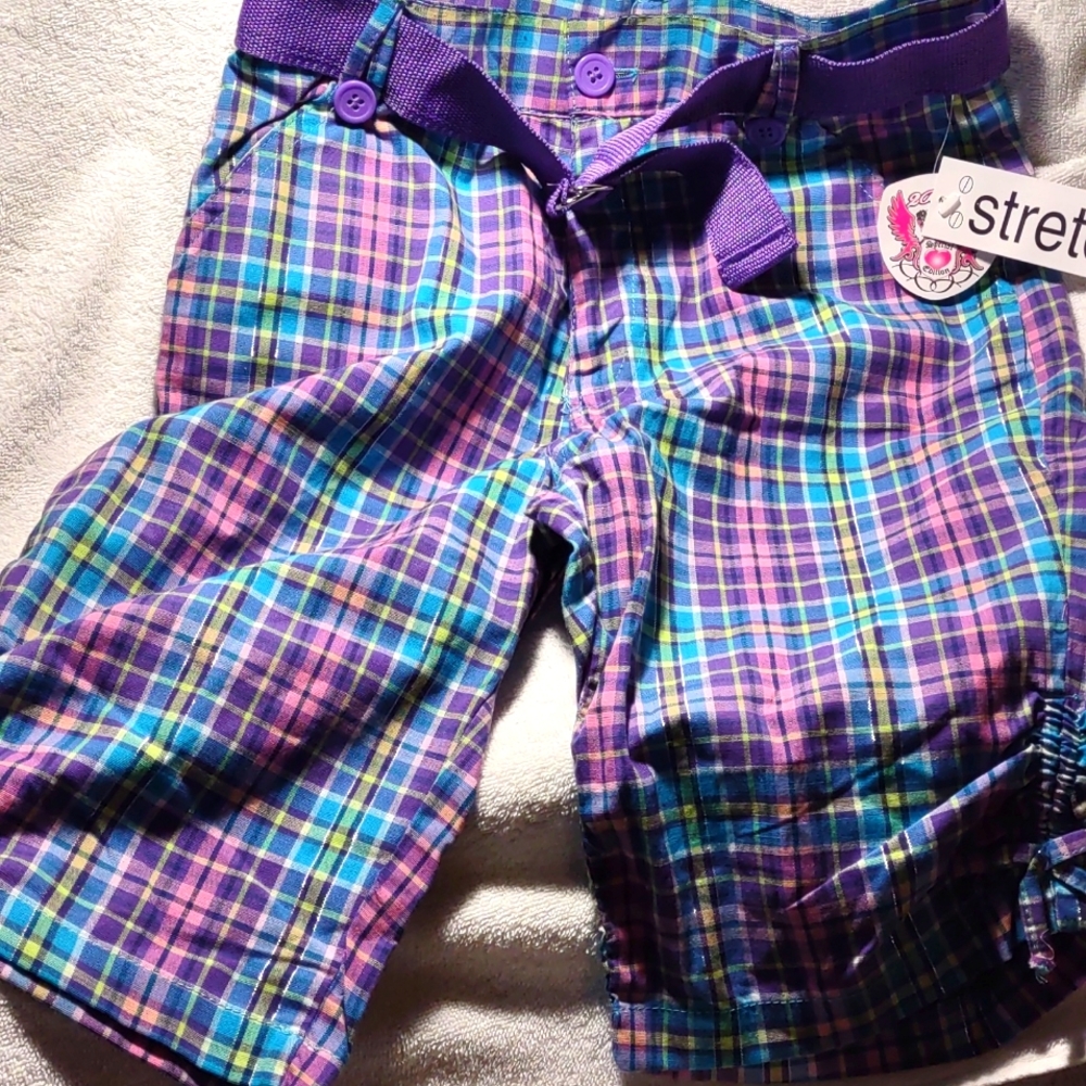 2B Real Stretch Shorts